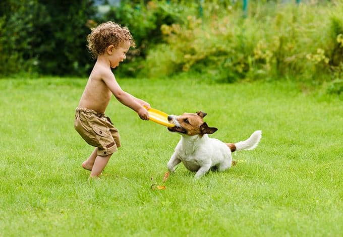 child and dog playing in the yard of a new york home