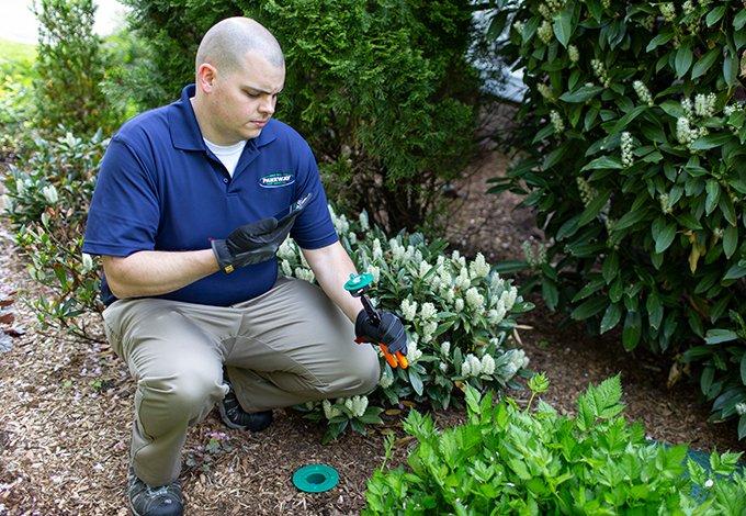 pest control professional checking for termites in a pelham new york yard