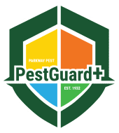 platinum shield icon