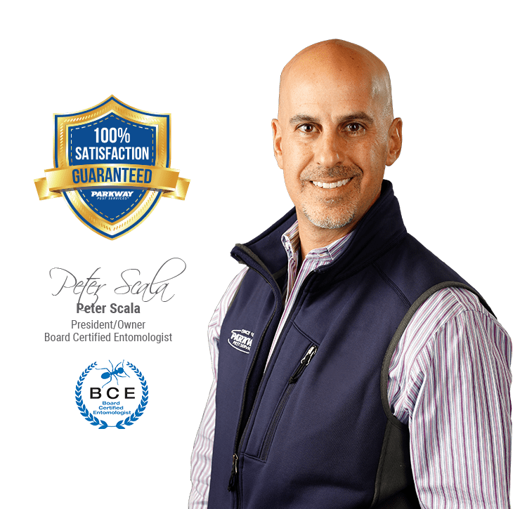 Trust Parkway To Solve All Your Pest Problems board certified entomologist and owner peter scala
