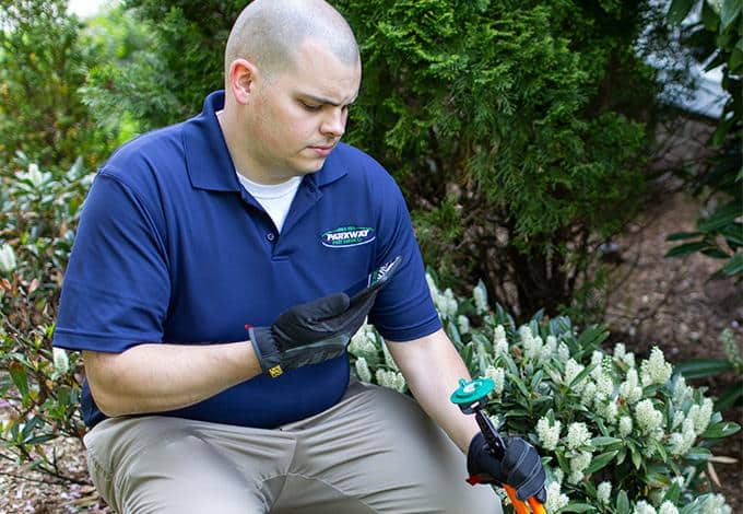 Learn More About Parkway's Termite Control Services long island termite exterminator checking termite station