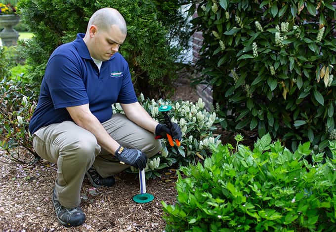 Choose Parkway For All Your Atlantic Beach Pest Control Needs atlantic beach ny pest control professional
