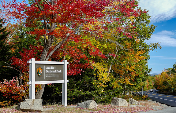 fall in acadia national park