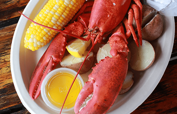 maine lobster dinner