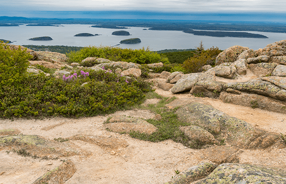 bar harbor maine