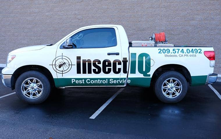 modern office building with pest control issues solved by insect iq