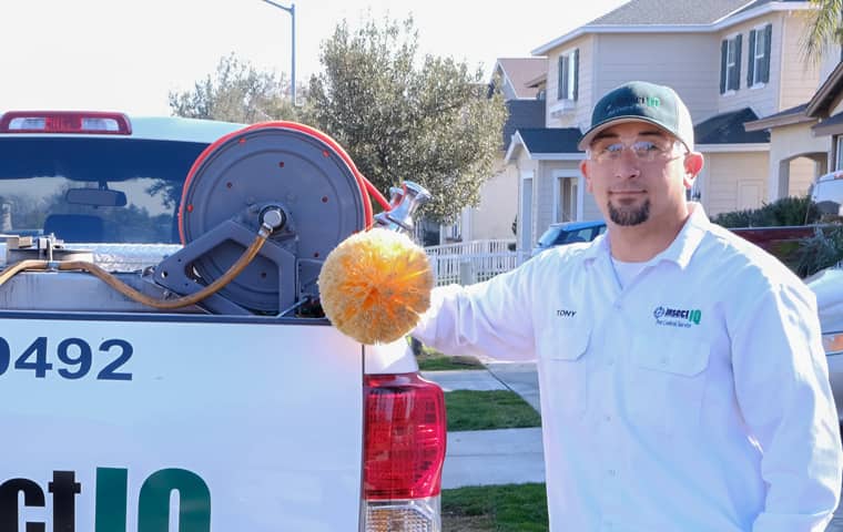 pest control technician outside of a modesto home removing spiders with a wand