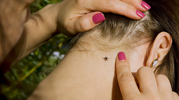 a tick crawling on the back of a womens neck
