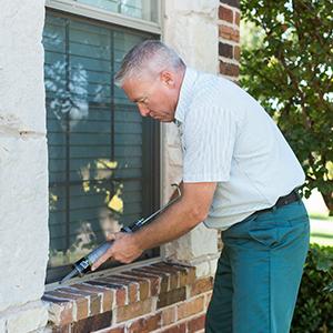 Home Pest Control Protection In Dallas Forth Worth