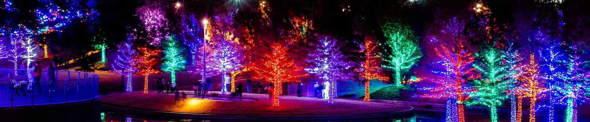 a row of trees in a park lit for the holidays in addison texas