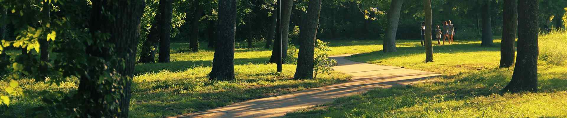 trees and a path in a park in colleyville texas