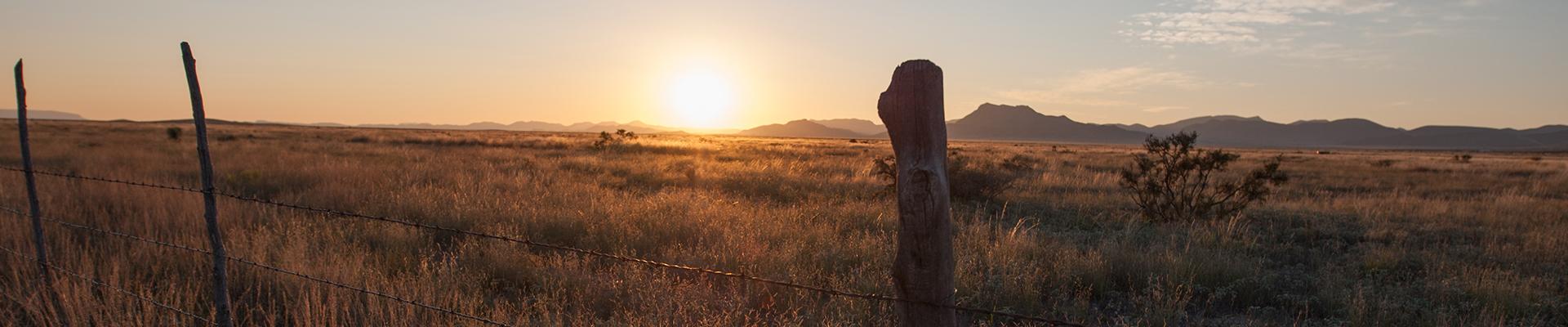 a prairie at sunset
