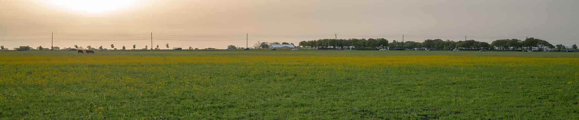 large open field in murphy texas