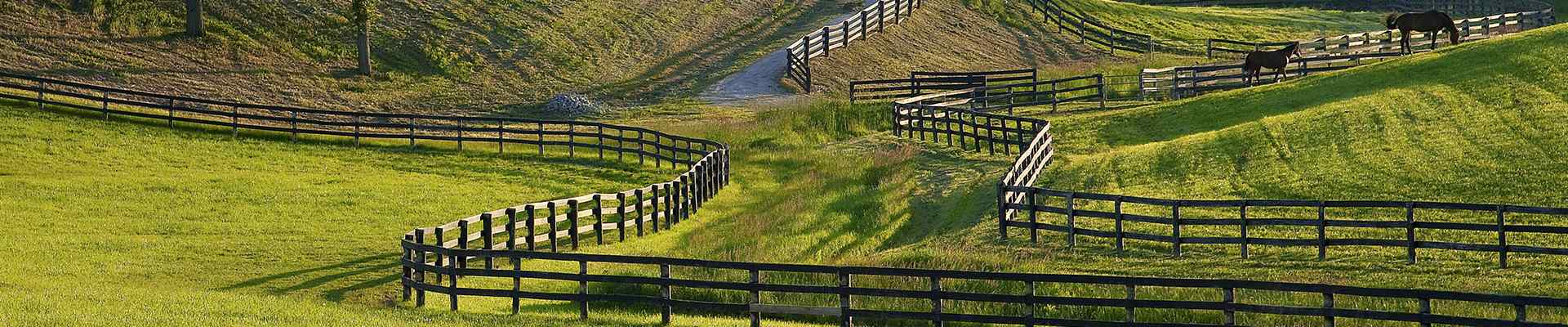 large fenced in pastures in van alstyne texas