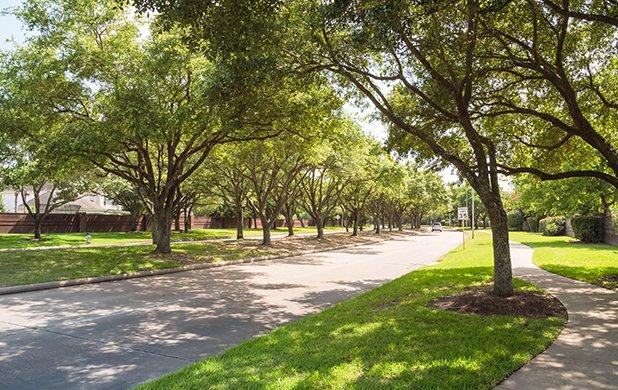 street view of a home and lawn in spring texas