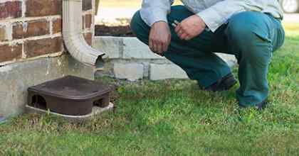 service tech inspecting for rodents