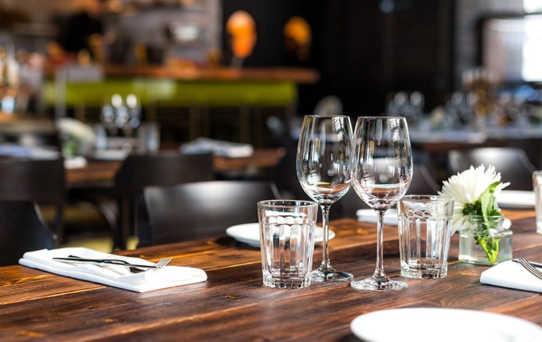 wine glasses on a nice table