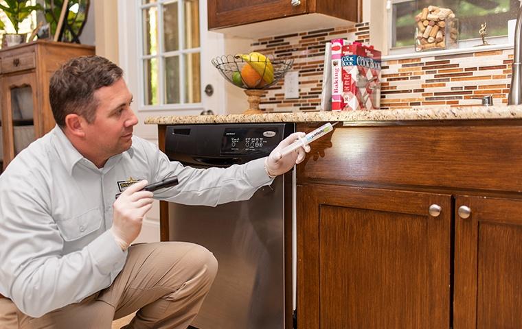 a pest control service technician inspecting a kitchen cabinet for cockroaches inside of a home in queens new york