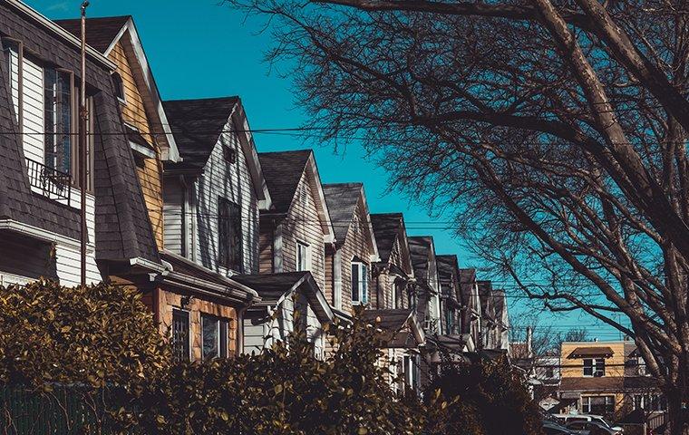 the exterior of a row of houses in queens new york