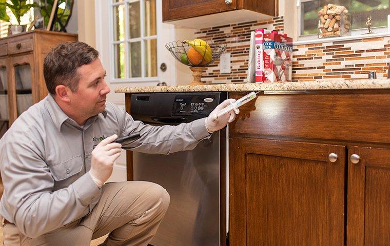 We Treat For Any Specific Pest That's Bothering You a pest technician inspecting a kitchen for pests in a home in fort forth texas