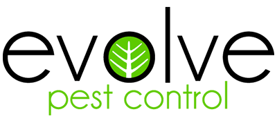 Pest Control Colchester