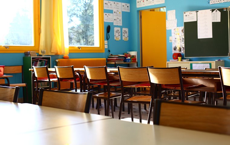 Prevent Pests From Spreading Bacteria To Your Students the interior of a classroom serviced by evolve pest control in fort worth texas