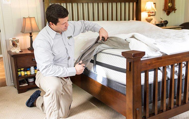Stop Bed Bugs From Spreading With Our Service a pest technician inspecting a bed for bed bugs in a home in memphis tennessee