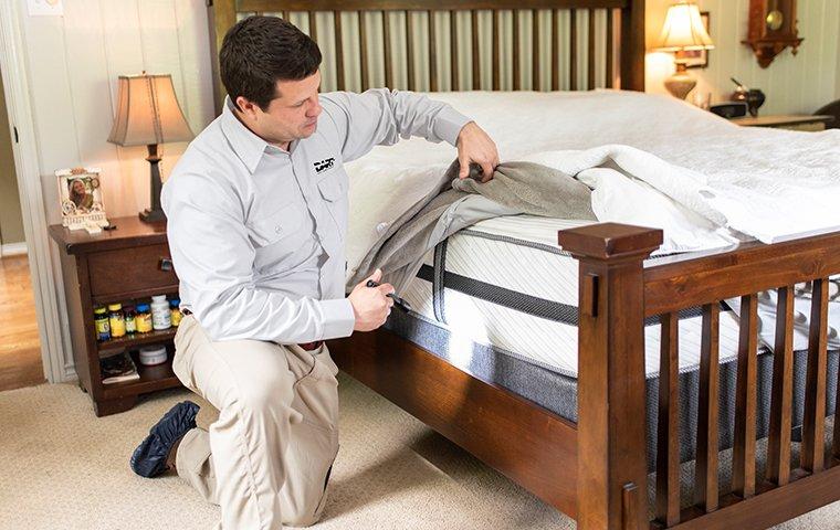 a pest technician inspecting a bed for bed bugs in a home in memphis tennessee