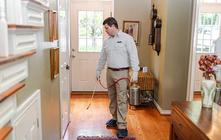 a pest techincian performing an interior treatment in a home in memphis tennessee